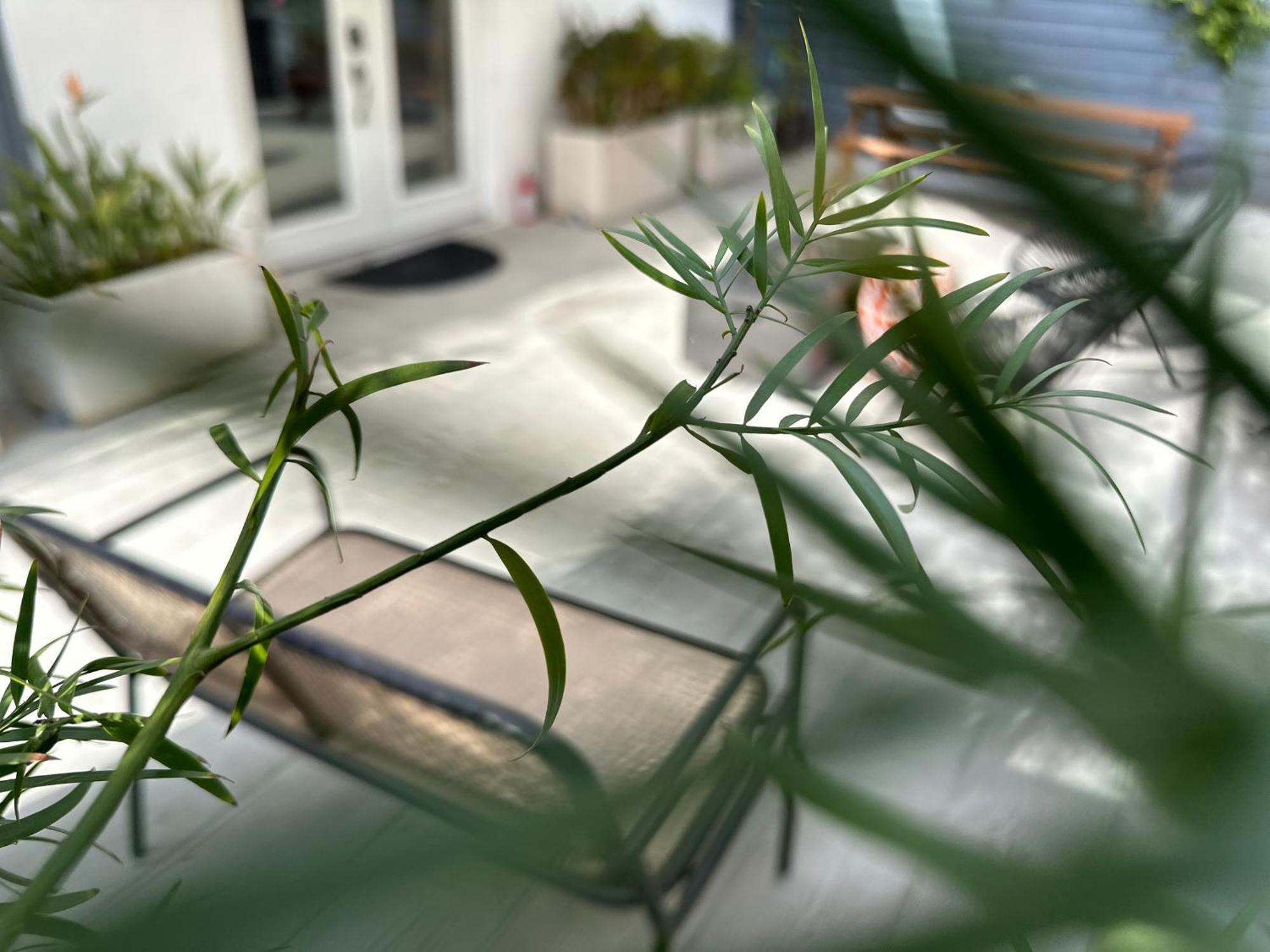 Resort Getaway In Private Garden Terrace Villa W Luxury Amenities Los Angeles Dış mekan fotoğraf